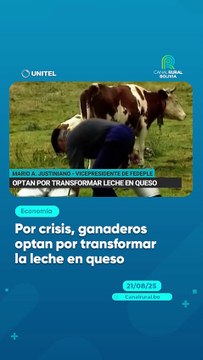 Por crisis, ganaderos optan por transformar la leche en queso