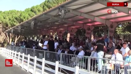 Bursa'da  Zergüzüm Tay, 1 milyon 370 bin liraya alıcı buldu