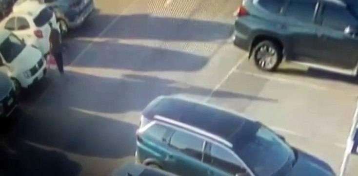 Passageiro abandona cão em aeroporto após ser impedido de embarcar com animal