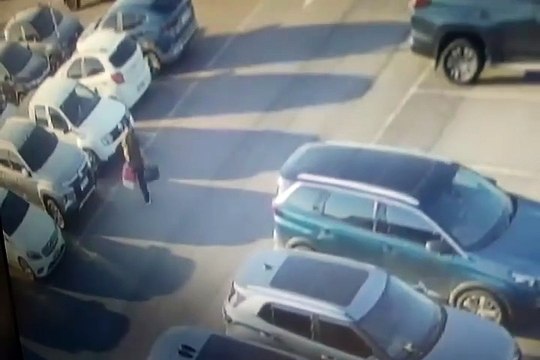 Após embarque ser recusado, passageiro abandona cachorro em aeroporto de Florianópolis