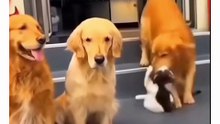 When you are forced to join the family photo