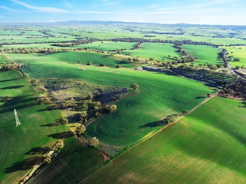 Farm aggregation in upper Mid North across 1306ha (3226 acres) heads to auction.