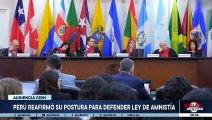 PERÚ REAFIRMÓ SU POSTURA PARA DEFENDER LEY DE AMNISTÍA | Willax