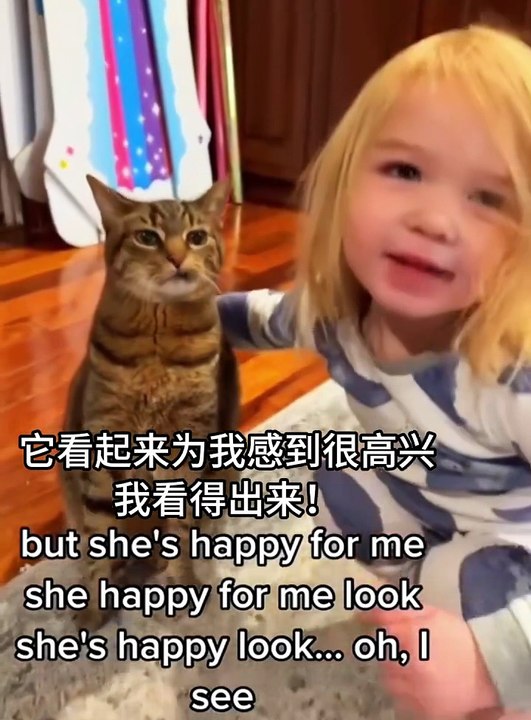 The cat’s patience has reached its limit