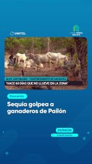Sequía golpea a ganaderos de Pailón