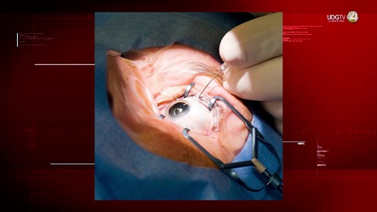 Proteger los ojos reduce a la mitad las lesiones que pueden llevar a la ceguera