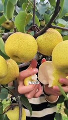 Apakah Kamu TAU !!! Tips Sehat ini.