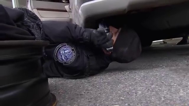 Border Security America Inside- Smuggling Job Suspected at JFK Airport