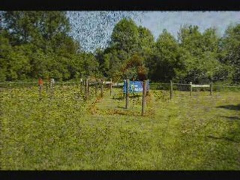 Concours international d'attelage 1ère partie_0001