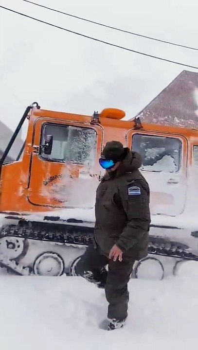 nieve