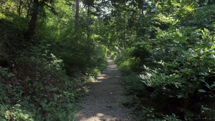 Where the Noise Ends | Short Film