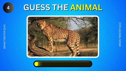 Can you Guess 50 Mammals in 3 Seconds_ _ Brain Twister Quiz