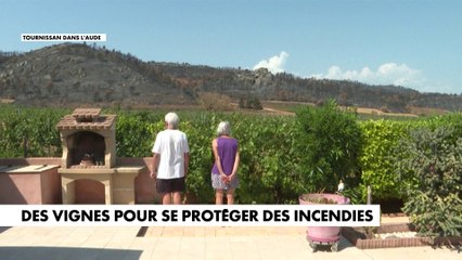 La vigne, un coupe-feu naturel qui s'estompe dans les Corbières