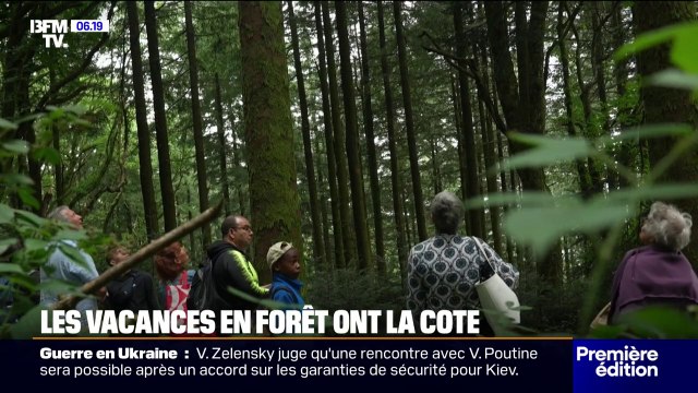 C'est un lieu où les gens ont tendance à lâcher : les vacances en forêt de plus en plus prisées par les Français