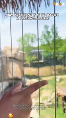 I speak a foreign language #funny #prank #scared #funnylove #family #funnymoments #usa