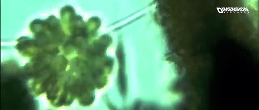 DESCENT 3 - Hollywood Movie Hindi Dubbed _ Hollywood Horror Action Movies In Hindi Dubbed Full HD