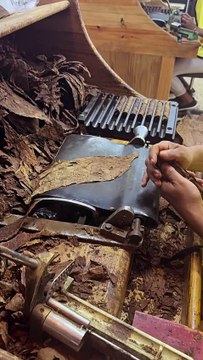 Ο Στάθης Σχίζας στον Άγιο Δομίνικο