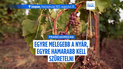 A klímaváltozás átírja a borászatok menetrendjét is