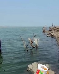 Fishing Trends and Insights for 2025 🎣