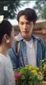 Watch Where the Light Enters Chinese Drama - English Sub