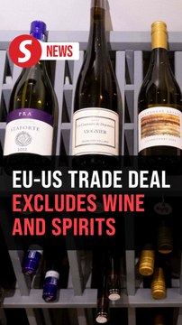 EU-US trade deal does not include wine and spirits, French exporters disappointed