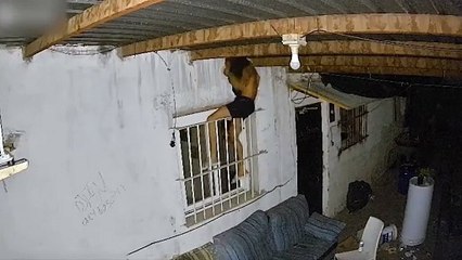 Detenido por robar en un local tras acceder por las rejas de una ventana en La Almunia (Zaragoza)