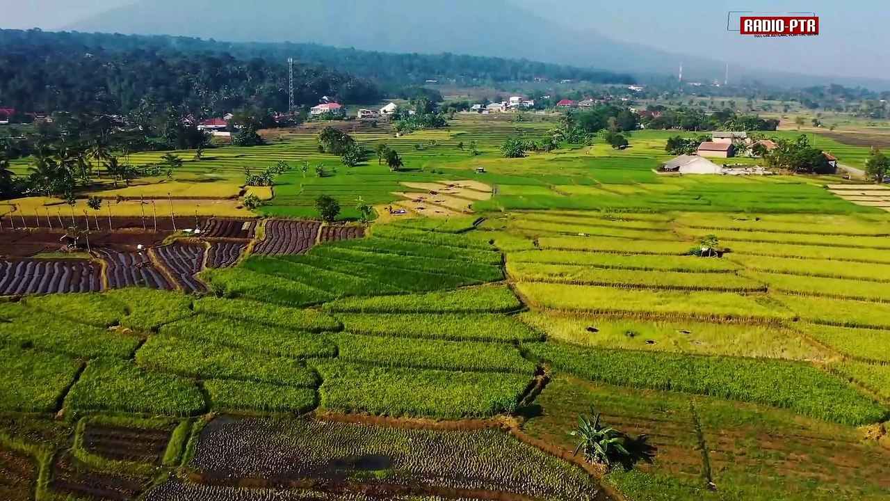 Radio PTR Feat Ines Wagner - Die Mücke mein trägt Blut