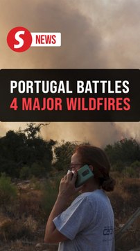 Third fatality as Portugal wildfires scorch 274,000 hectares, 2,600 firefighters deployed