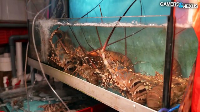 Gamer's Nexus THE NVIDIA AI GPU BLACK MARKET 1 of 3 '; Investigating Smuggling, Corruption, & Governments