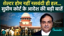 Supreme Court Order में Dogs के लिए क्या-क्या कहा? 'नसबंदी और खाना देने तक निर्देश' | वनइंडिया हिंदी