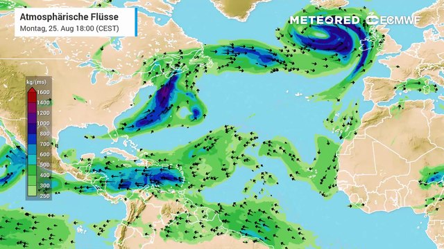 Hurrikan Erin zieht aktuell über den Nordatlantik nach Europa - dabei wird er zu einem außertropischen Sturmtief!