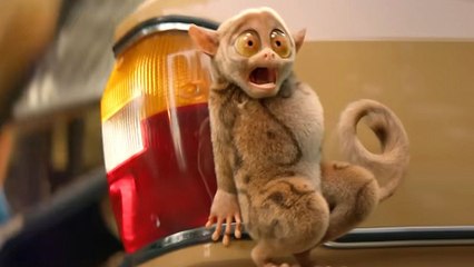 Die Schule der magischen Tiere 4 Trailer DF