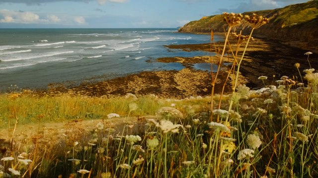 UK seaside survey reveals surprise winners and losers for holidaymakers