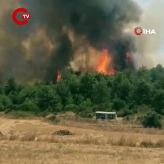 İzmir Menderes'te orman yangını
