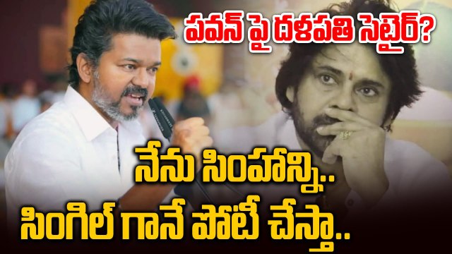 TVK Vijay Sensational Comments On DCM Pawan Kalyan |నేను సింహాన్ని..సింగిల్ గానే పోటీ చేస్తా..