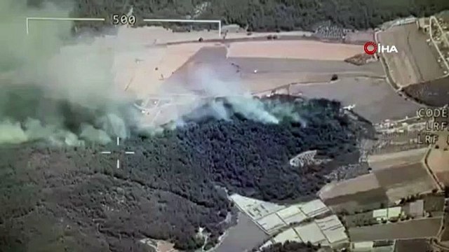 İzmir Menderes’te orman yangını