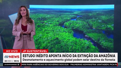 Estudo alerta: Amazônia pode entrar em extinção ainda neste século | JP SUSTENTÁVEL