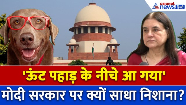 Stray Dogs: नाराज मेनका गांधी ने SC के फैसले पर अब क्या कहा? केंद्र सरकार पर कमेंट क्यों किया?