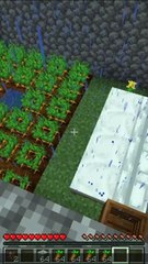 Trucos de Minecraft que No Sabias Parte 9