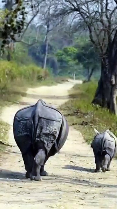 Sri Lanka Tourist Attraction Places