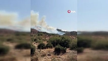 Aliağa’da makilik alanda yangın