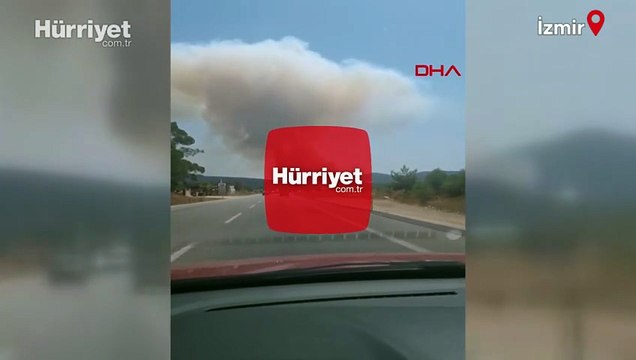 İzmir’in Menderes ilçesinde orman yangını