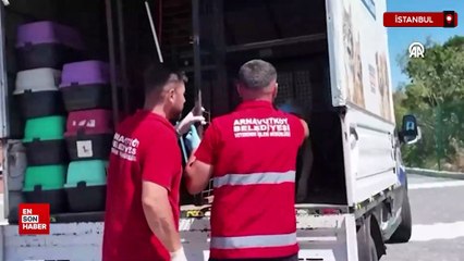 Arnavutköy’de sahipsiz hayvanlar toplanmaya başladı