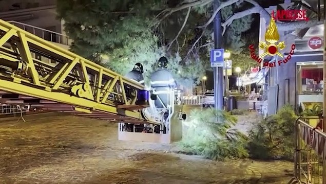 Maltempo, a Rimini alberi cadono sugli edifici a causa del vento: il video dei Vigili del Fuoco