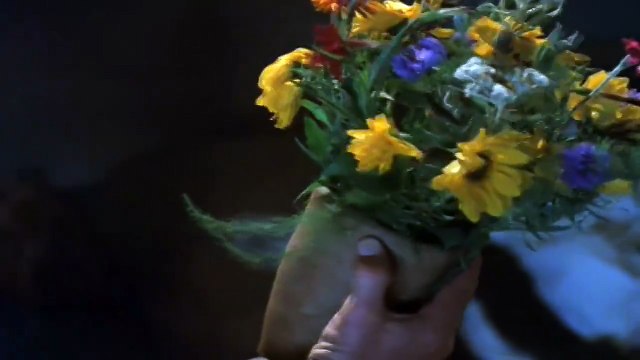 LE NOZZE DI FIGARO (LES NOCES DE FIGARO) : WOLFGANG AMADEUS MOZART