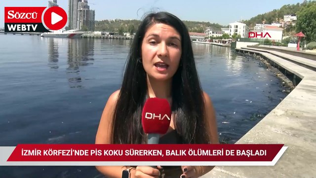 İzmir Körfezi’nde pis koku sürerken, balık ölümleri de başladı