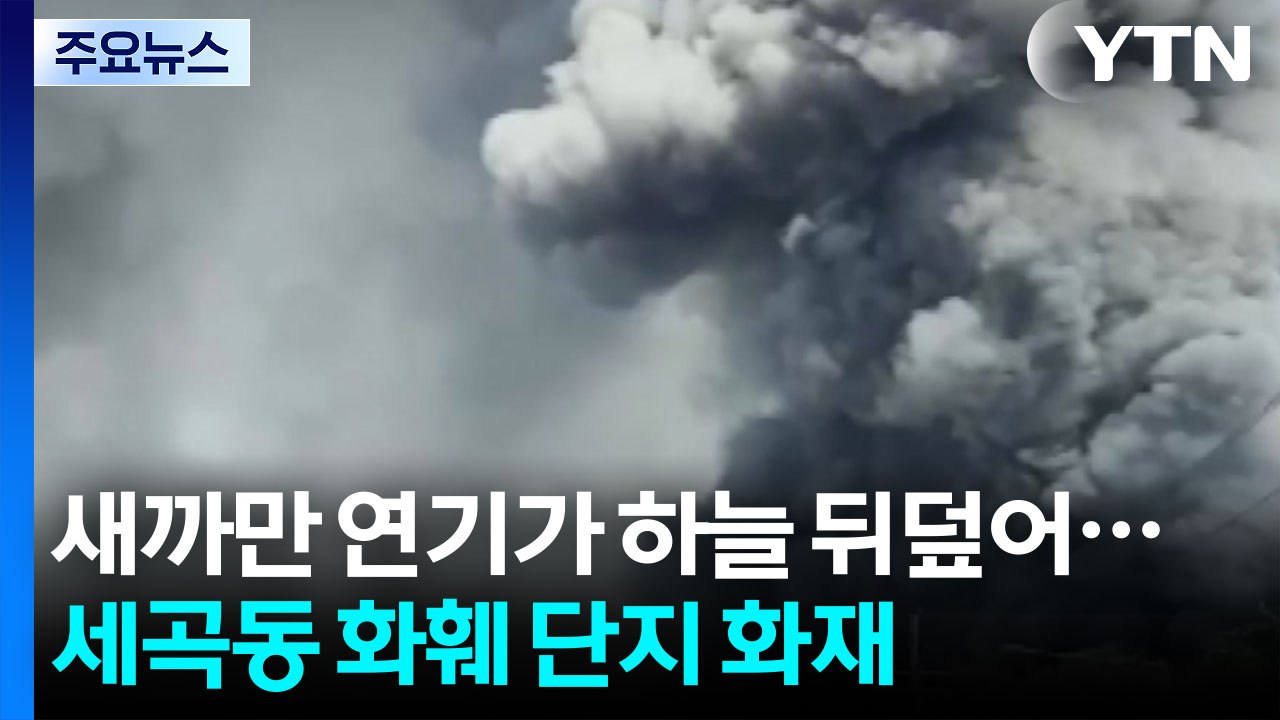 강남 세곡동 화훼 단지 큰불...주택가 화단 '마약 던지기' / YTN
