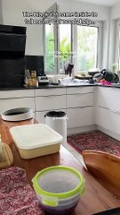 Sweet Black Cat Love Story ❤️ | Cute Fence Cat Moments #fencecat #blackcat #catlovestory