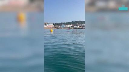 Wild Dolphin Joins Locals for a Swim