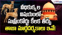 వీధికుక్కలపై సుప్రీంకోర్టు కీలక తీర్పు | తాజా మార్గదర్శకాలు | Supreme Court | Asianet News Telugu